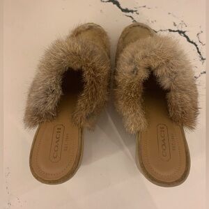 COACH Kaela Suede Wedge with Fur